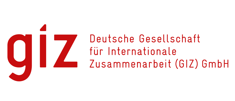 GIZ logo